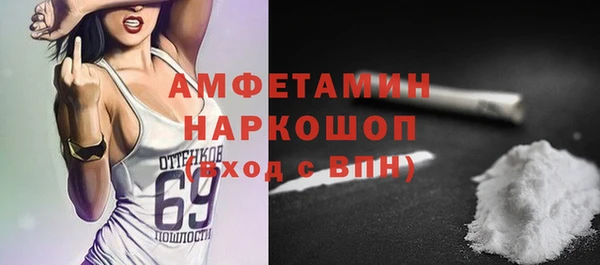 гашик Тында