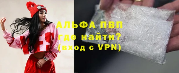 гашик Тында
