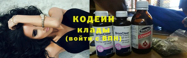 гашик Тында