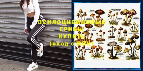 гашик Тында