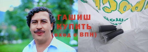 гашик Тында