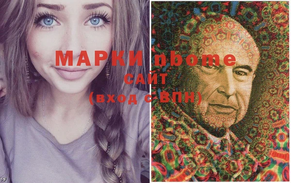 гашик Тында