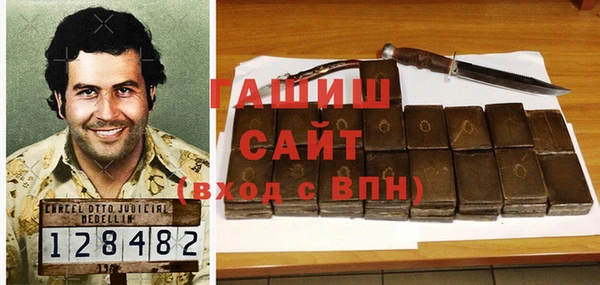 гашик Тында