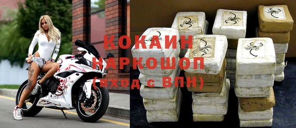 гашик Тында