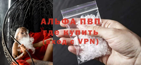 гашик Тында