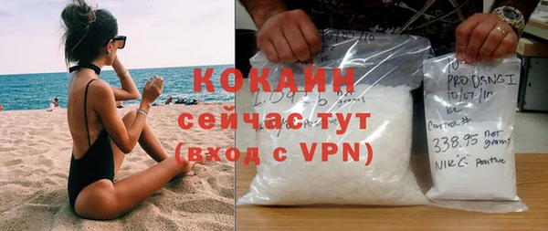 гашик Тында