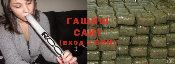 гашик Тында