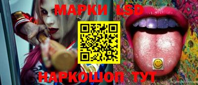 гидропоника Гусев
