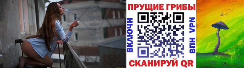 Псилоцибиновые грибы Magic Shrooms  omg ссылки  Майкоп 
