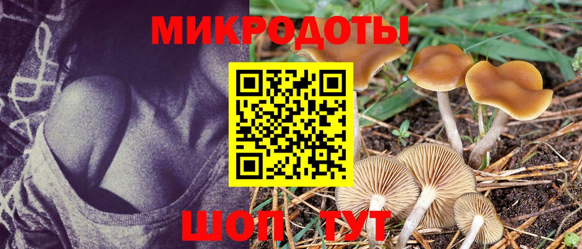 Майкоп  Галлюциногенные грибы Magic Shrooms  Вход с VPN 