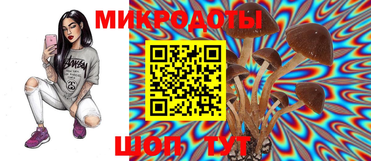 Псилоцибиновые грибы Magic Shrooms Майкоп