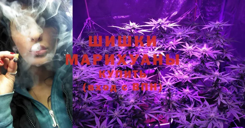 цены наркотик  Майкоп  OMG онион  Шишки марихуана OG Kush 